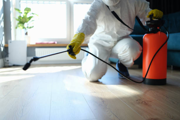 Reliable Odor Removal contractor in Bowie, MD by Trauma Clean Pros